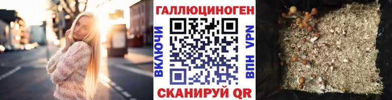Псилоцибиновые грибы MAGIC MUSHROOMS  Купить  Крым 